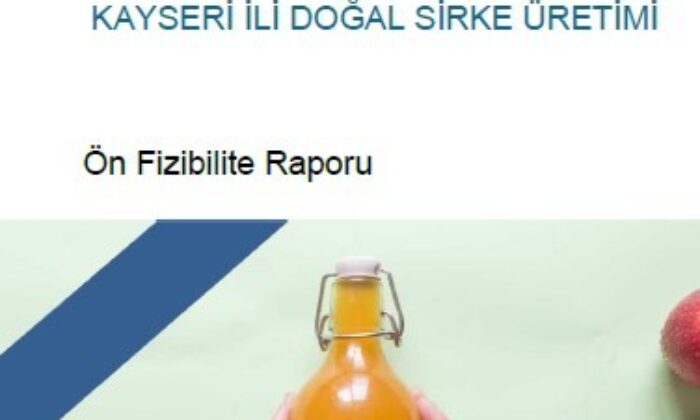 Orta Anadolu Bölgesi’nin Yatırım Fırsatlarını İçeren 14 Ön Fizibilite Raporu Yayında