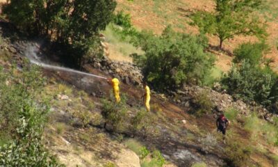 Örtü yangınında badem fidanları zarar gördü