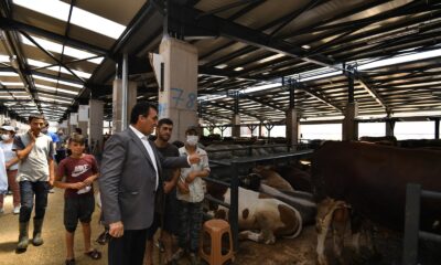 Osmangazi’de Kurban Satış ve Kesim Tesisinde kapasite artıyor