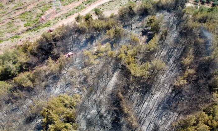 Osmaniye’de çıkan orman yangını evlere sıçramadan söndürüldü