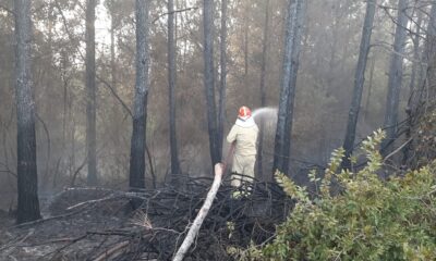 Osmaniye’de orman yangını büyümeden söndürüldü