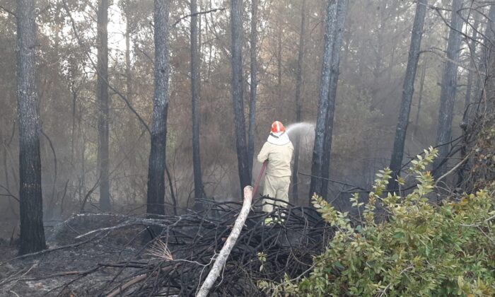 Osmaniye’de orman yangını büyümeden söndürüldü
