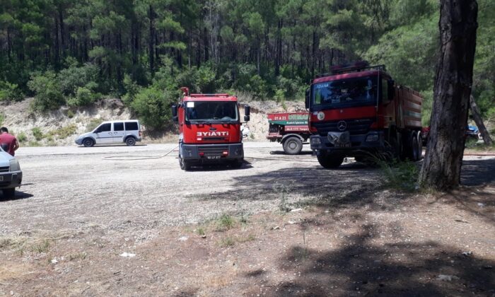 Osmaniye’de orman yangını