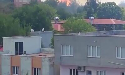 Osmaniye’de orman yangını