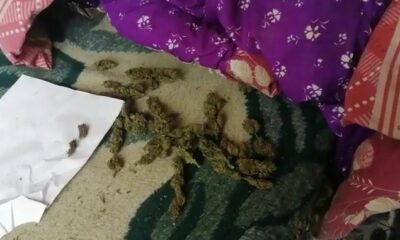 Osmaniye’de uyuşturucu operasyonuna 1 tutuklama