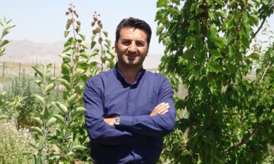 Otlu peynirde kullanılan bitkiler yok olma riski altında