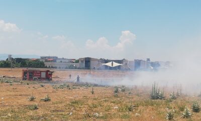 Otluk alanda çıkan yangın korkuttu