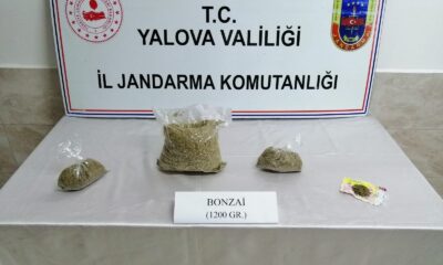 Otobüsle uyuşturucu nakline jandarma engeli