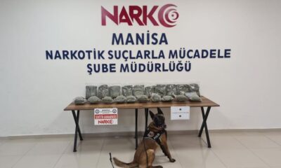 Otobüsün bagajında 10 kilodan fazla bonzai ele geçirildi