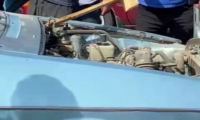 Otomobile giren yılanı vatandaşlar çıkardı