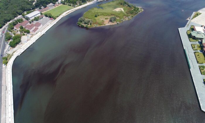 (ÖZEL) AK Parti Meclis Üyesi Özlem Erol’dan İBB’ye müsilaj eleştirisi