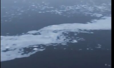 (Özel) Balıkesir’de çevre felaketi…Susurluk’tan geçen çay köpürdü