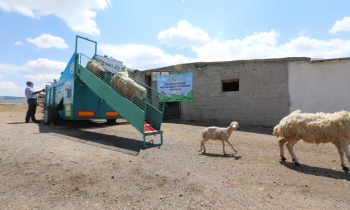 (ÖZEL) Başkanın tasarımını yaptığı mobil koyun banyosu aracı çiftçilerin yüzünü güldürdü, koyunların verimini artırdı