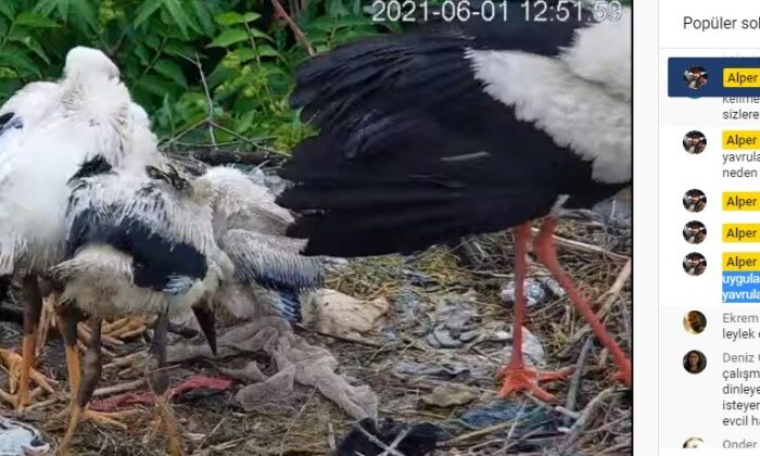 (ÖZEL) Bütün dünya kilitlendi onları izliyor