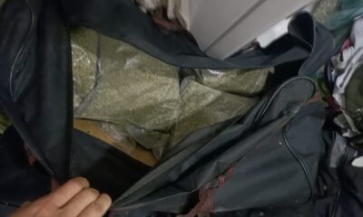 (Özel) “Çaki” lakaplı zehir tacirinin zula evine operasyon: 55 kilogram “bonzai” ele geçirildi