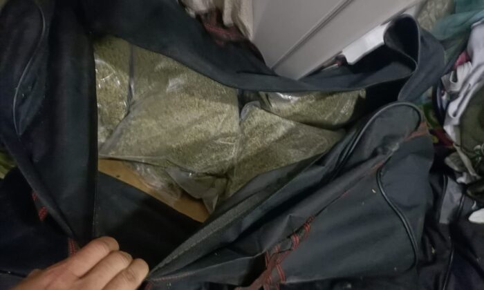 (Özel) “Çaki” lakaplı zehir tacirinin zula evine operasyon: 55 kilogram “bonzai” ele geçirildi