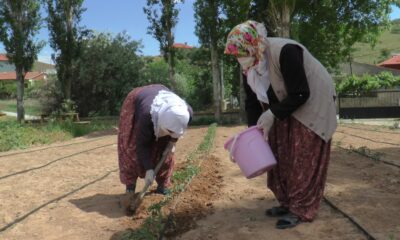 (ÖZEL) Çiftçi kadınlar yeni projeleri ile pandemide de üretmeye devam ediyor