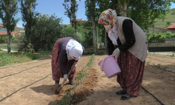 (ÖZEL) Çiftçi kadınlar yeni projeleri ile pandemide de üretmeye devam ediyor