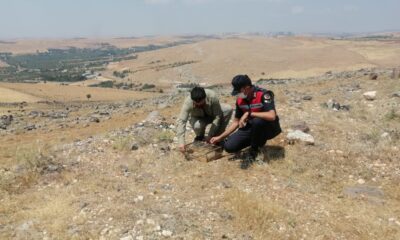 Özel düzenekle saka kuşu avlayan kaçak avcılar jandarmaya yakalandı