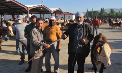 (ÖZEL) Erzincan’da kurban hareketliliği başladı