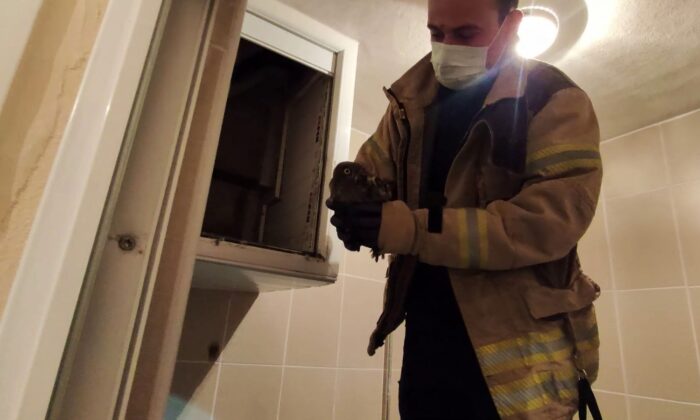 (Özel) Havalandırmaya düşen yavru baykuşu itfaiye ekipleri kurtardı