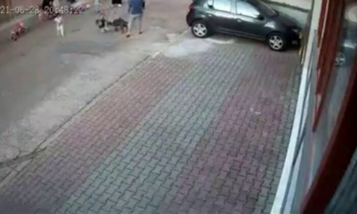 (Özel) Kartal’da 9 yaşındaki çocuğa pitbull’un saldırdığı anlar kamerada