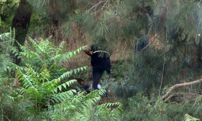 (Özel) Kayıp adam ağaca asılı halde bulundu