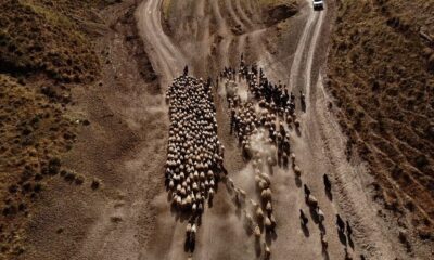(Özel) Nemrut Dağı eteklerine tozlu yolculuk