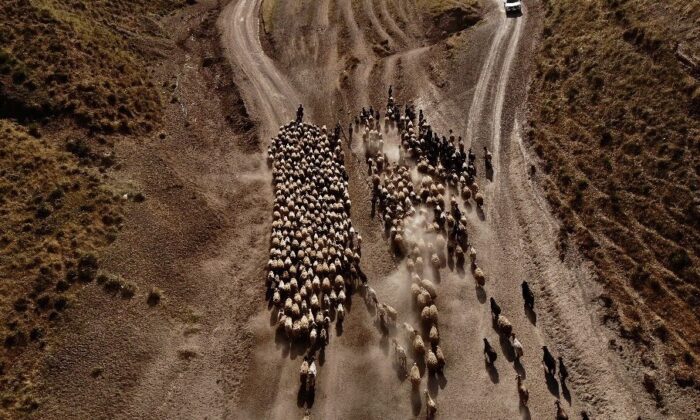 (Özel) Nemrut Dağı eteklerine tozlu yolculuk