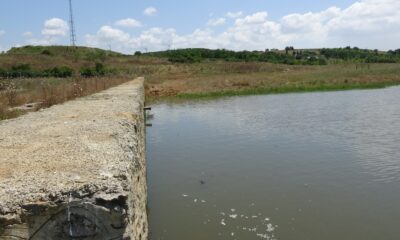 (Özel) Ömerli Barajında ölen balıklar iş makineleriyle toprağa gömülüyor