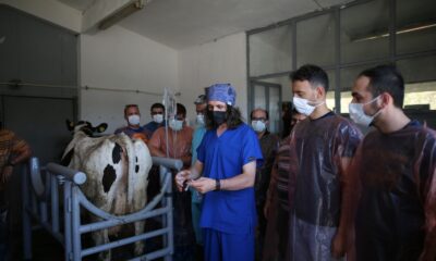 (Özel) Şampiyonların sayısı bu teknoloji ile artacak