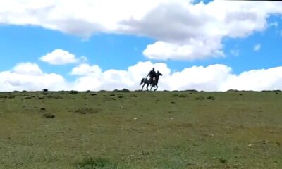 (Özel) Savaşa gider gibi at sırtında sopalarla kavgaya koştular