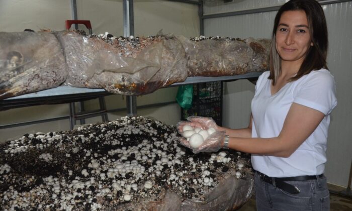 Özel sektörü bırakıp tesis kurdu: Siparişlere yetişemiyor