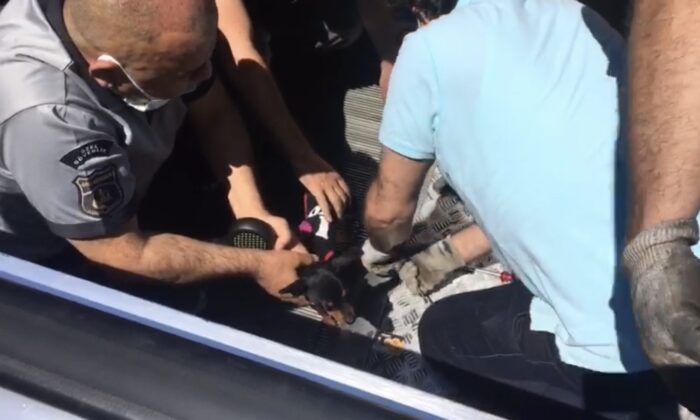 (ÖZEL) Şişli’de ayağı yürüyen merdivene sıkışan süs köpeğini kurtarma operasyonu