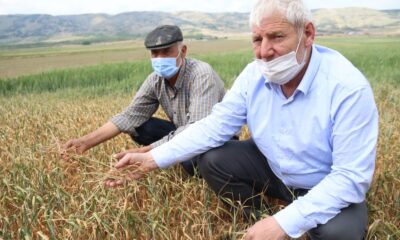 (Özel) Sulama planlamasında yanlış karar iddiası
