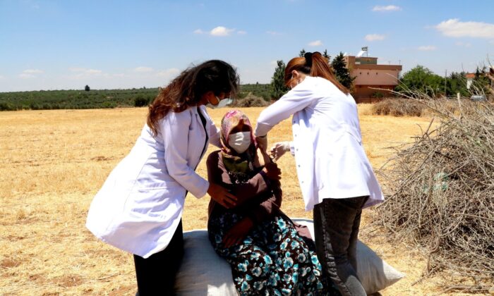 (Özel) Tarlada aşı