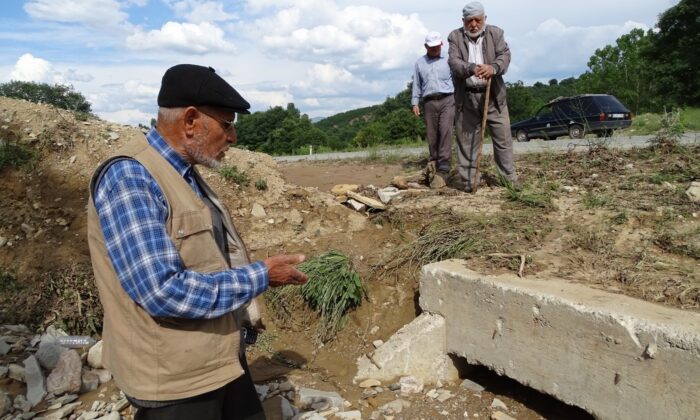 (ÖZEL) Tıkanan menfez yüzünden ekili arazileri su basıyor