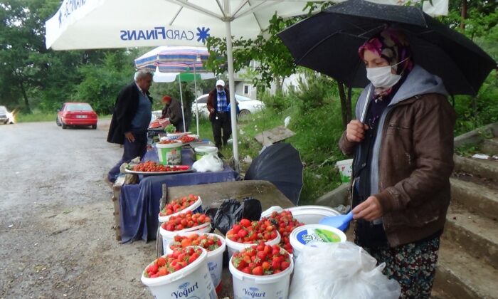 (ÖZEL) Ünlü Demirciören çileği tezgâhlarda