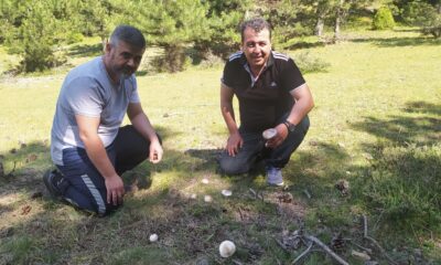 (ÖZEL) Yağışlar mantara bereket, sofralara lezzet getirdi