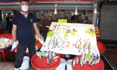 (ÖZEL)Müsilaj Balıkçı esnafını etkiledi