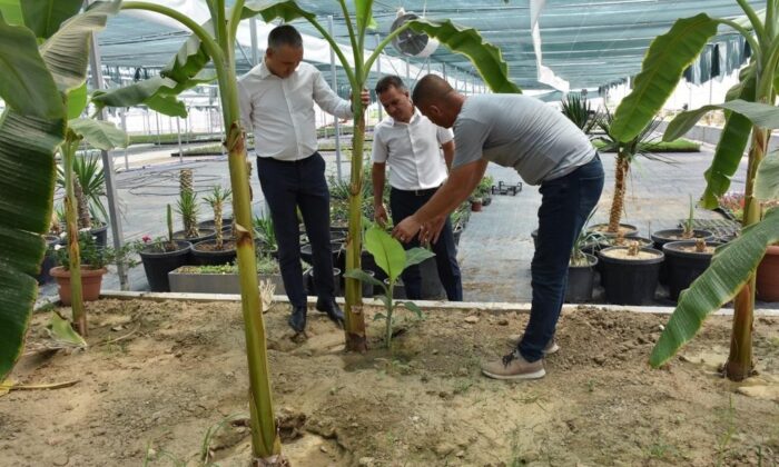 Öztürk’ten büyükşehir serasına tam not