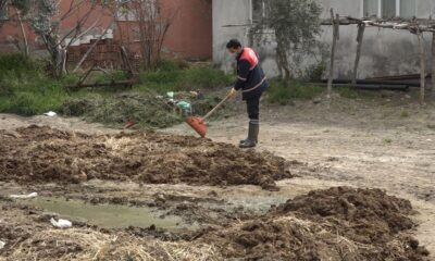 Pamukkale’de besihaneciler ilaçlama hizmetinden memnun
