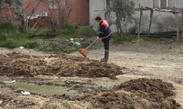 Pamukkale’de besihaneciler ilaçlama hizmetinden memnun