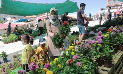 Pandemide fidan satışları tavan yaptı