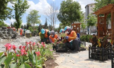 Park ve yeşil alanlara yaz bakımı yapılıyor