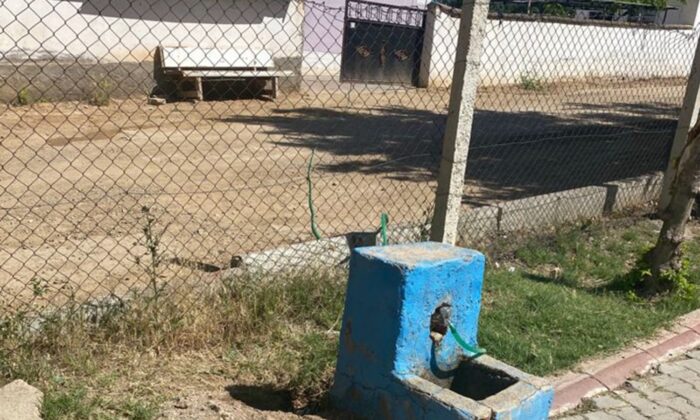 Parktan evine hortumla şu çeken şahıs yakalandı