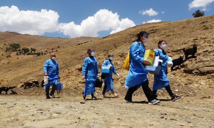 Patika yolları aşan sağlıkçılar, berivanlara korona virüs aşısı ulaştırdı