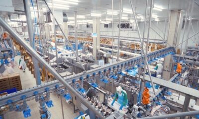 Piliçte 1.35 milyar TL’lik yatırım