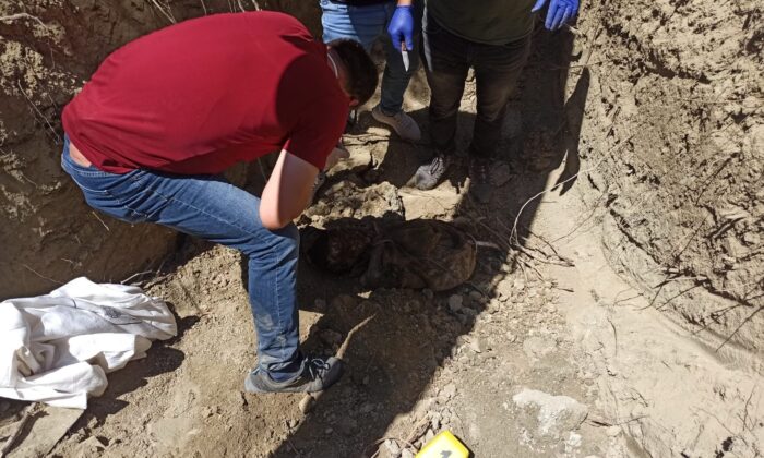 PKK içinde infazlar sürüyor