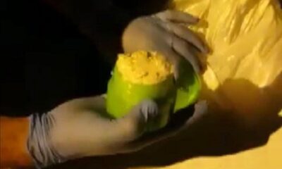 Polis bile şaşırdı, krem kutusundan uyuşturucu çıktı